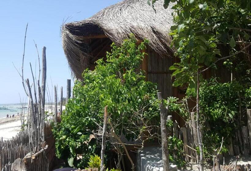 리조트 Baraka Lda