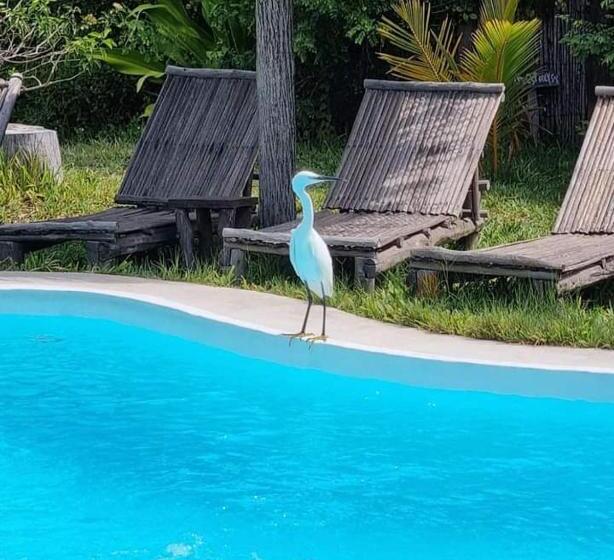 리조트 Baraka Lda