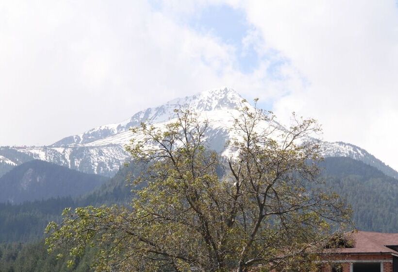 Отель 7 Pools Spa Boutique