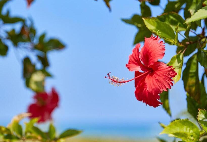 فندق صغير ミチ旅ホテル 読谷