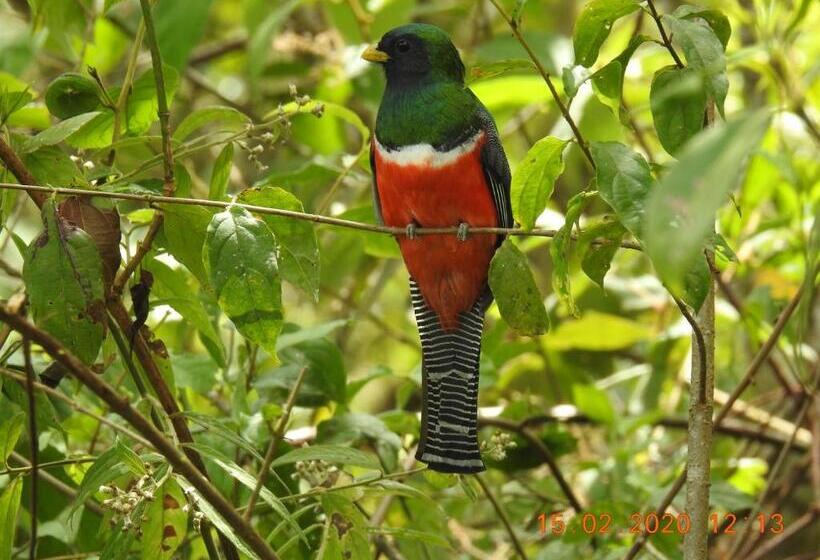 צימר Miriam S Quetzals Lodge