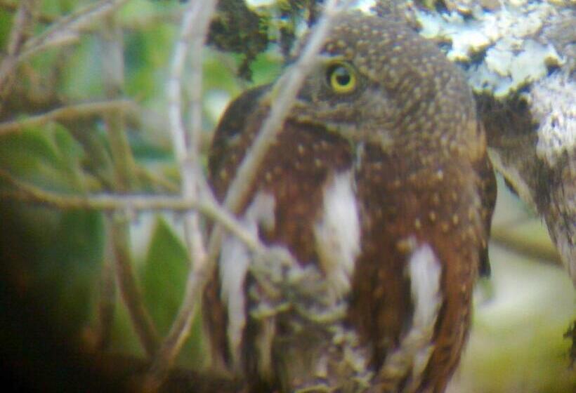 צימר Miriam S Quetzals Lodge
