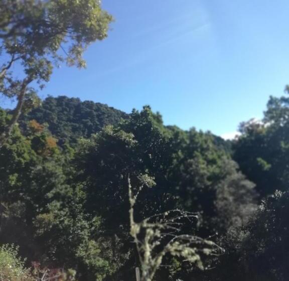 צימר Miriam S Quetzals Lodge