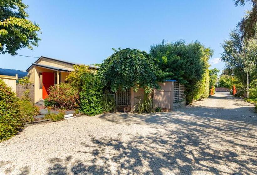 צימר Shy Cottage And Studio