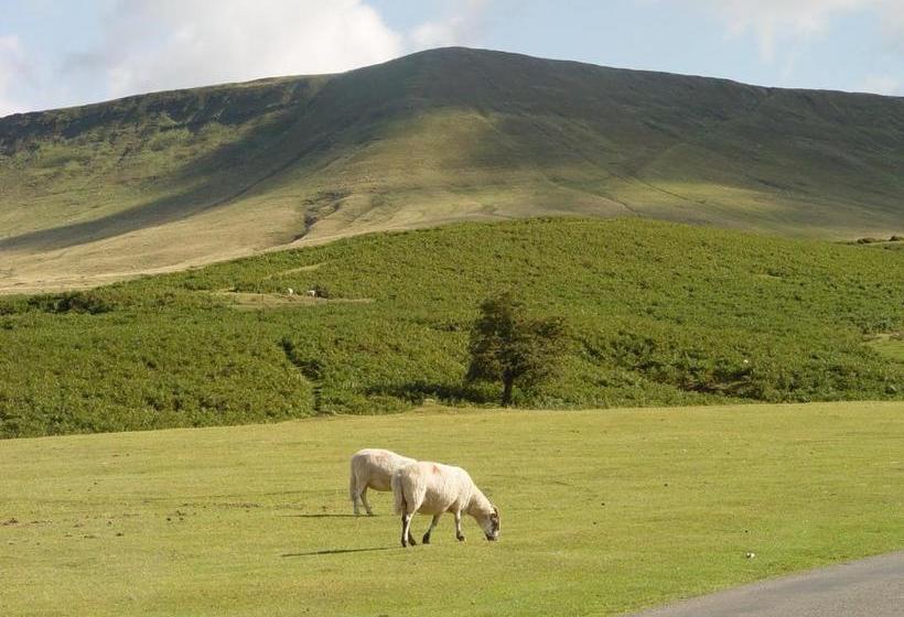مبيت وإفطار The Bridge Hay