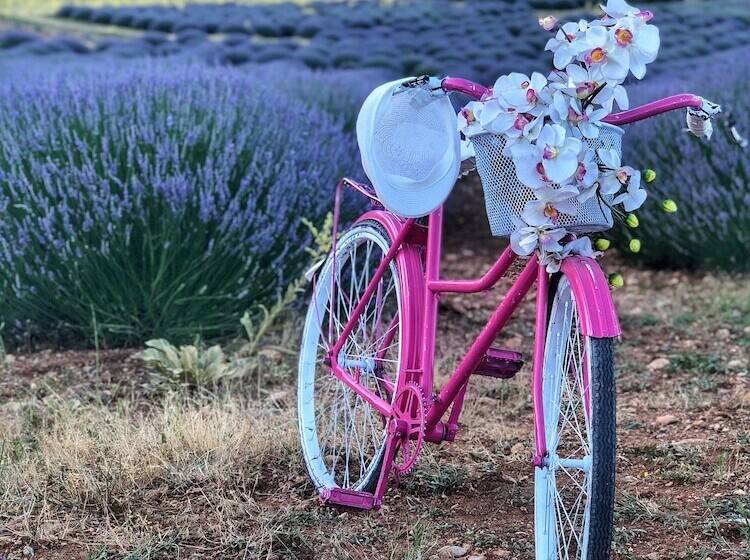 酒店 Aliya Konak   Köy Evi Ve Lezzetleri