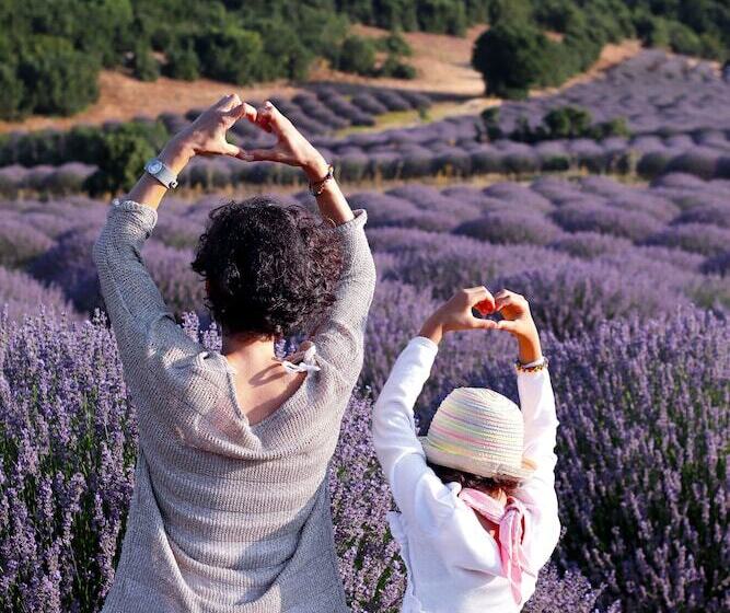酒店 Aliya Konak   Köy Evi Ve Lezzetleri