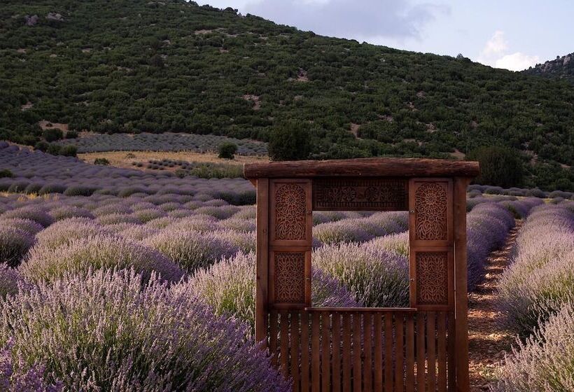 בית מלון כפרי Aliya Konak   Köy Evi Ve Lezzetleri