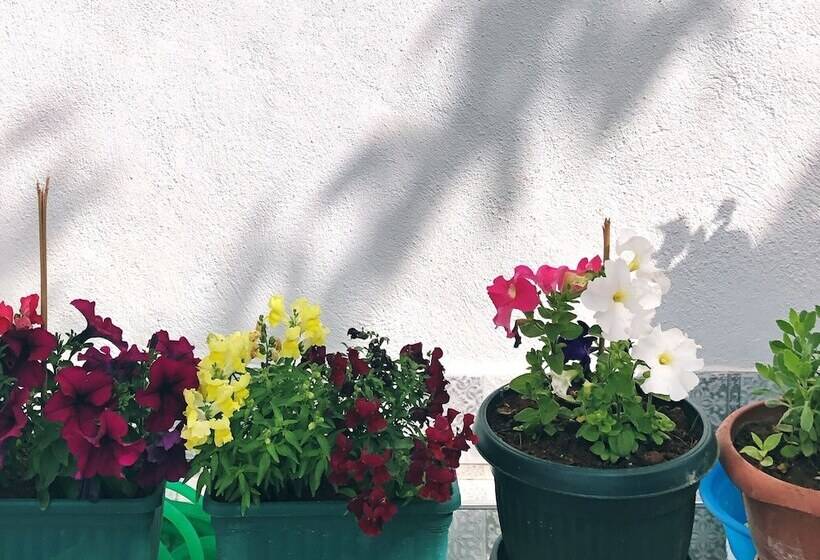 酒店 Aliya Konak   Köy Evi Ve Lezzetleri