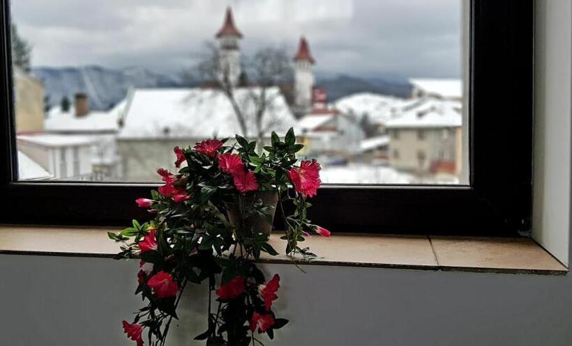 Отель Vila William’s