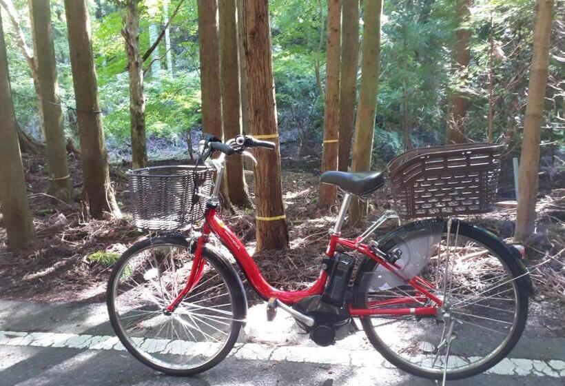 Midori Guesthouse&hostel