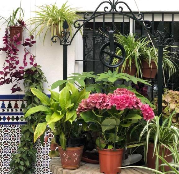 پانسیون Hostal Mellizo