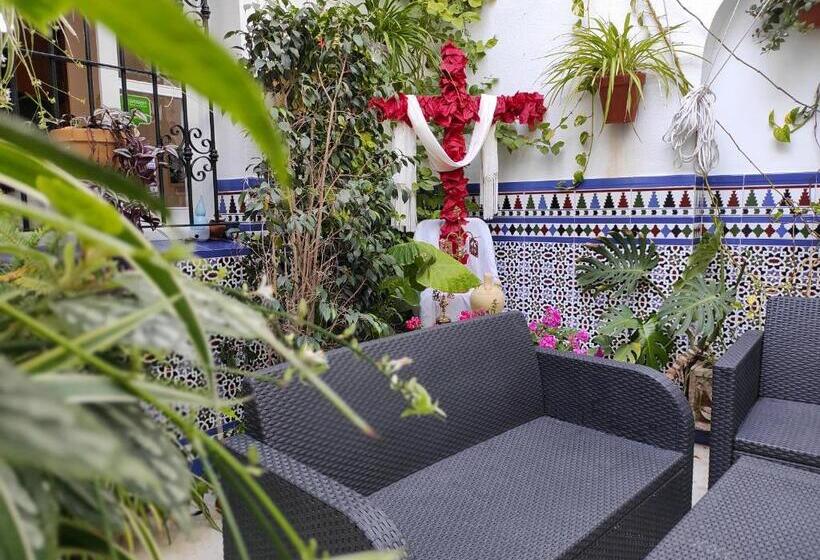 پانسیون Hostal Mellizo