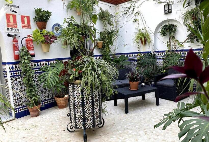 پانسیون Hostal Mellizo