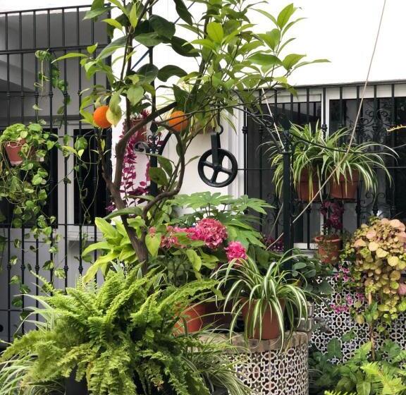 پانسیون Hostal Mellizo