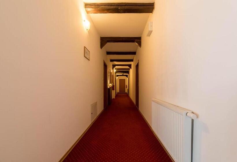 پانسیون Penzión Zemianska Kúria