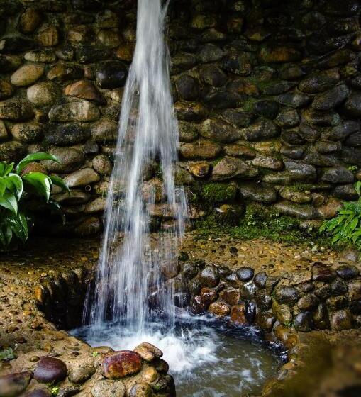 旅馆 Pousada Das Araucárias