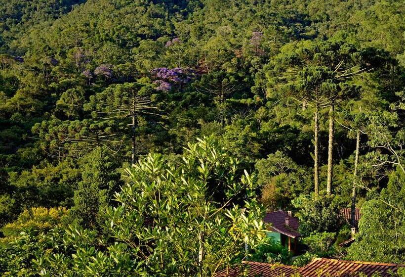旅馆 Pousada Das Araucárias