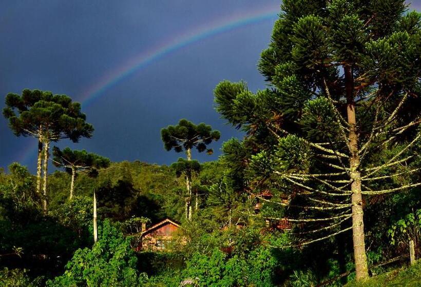 旅馆 Pousada Das Araucárias
