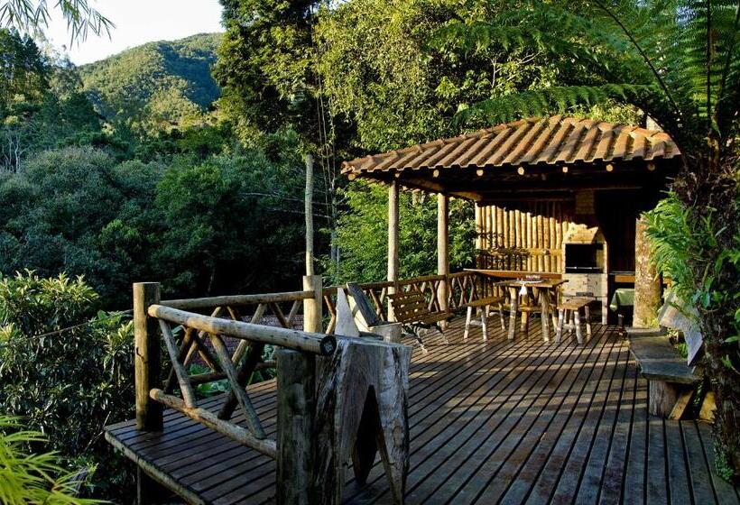 旅馆 Pousada Das Araucárias