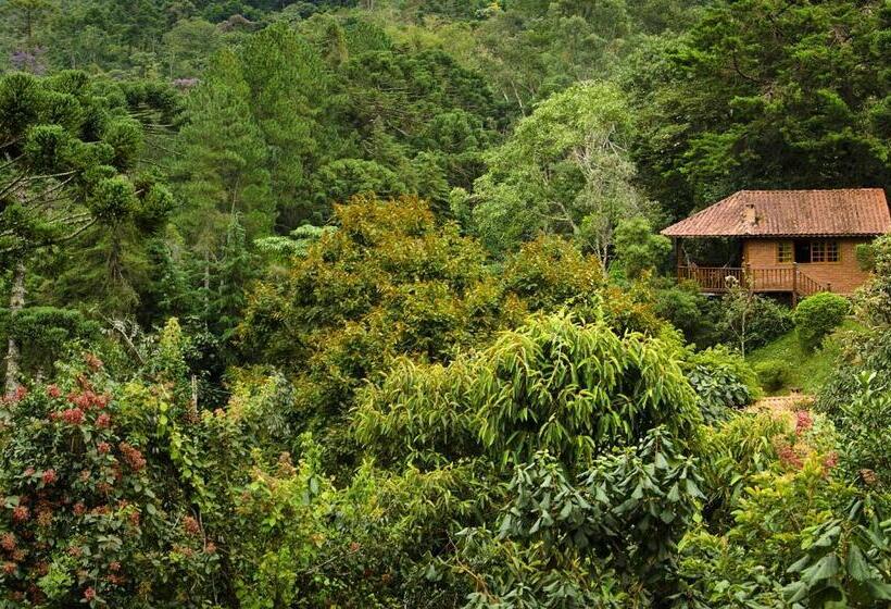 旅馆 Pousada Das Araucárias