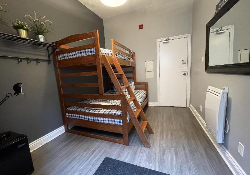 هاستل The Clarence Park