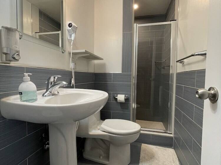 هاستل The Clarence Park