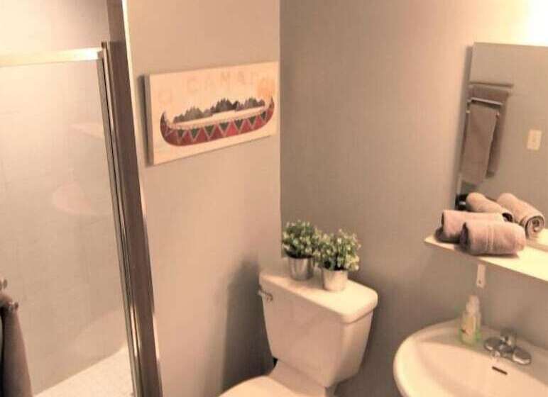 هاستل The Clarence Park