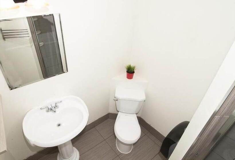 هاستل The Clarence Park