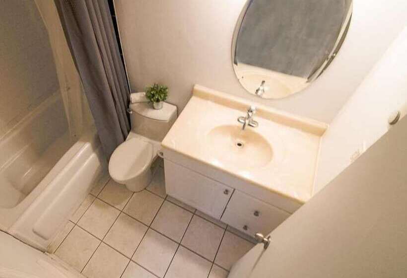 هاستل The Clarence Park