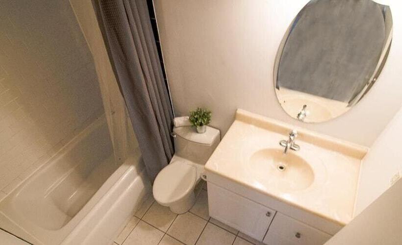 هاستل The Clarence Park