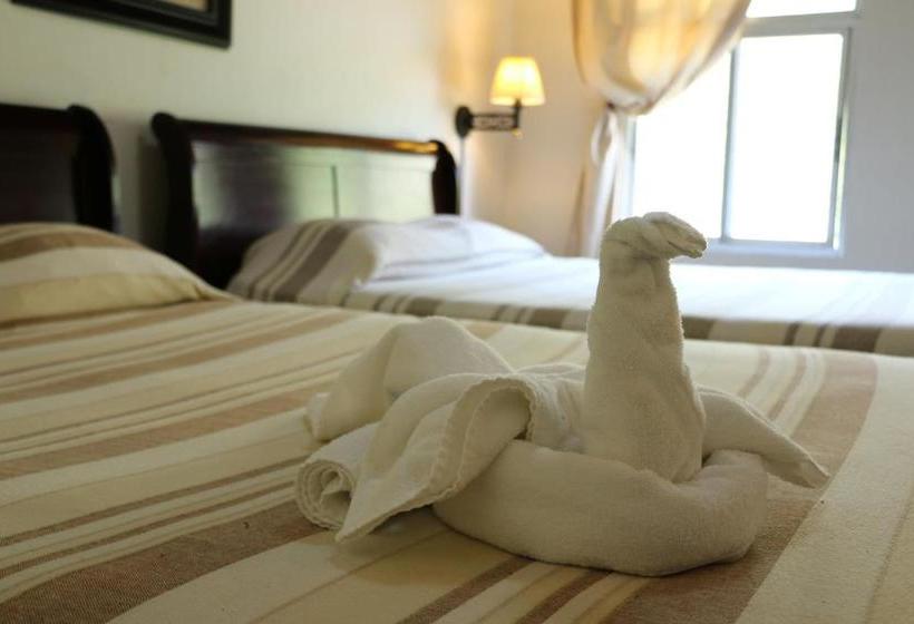 ベッドアンドブレックファースト Campestre