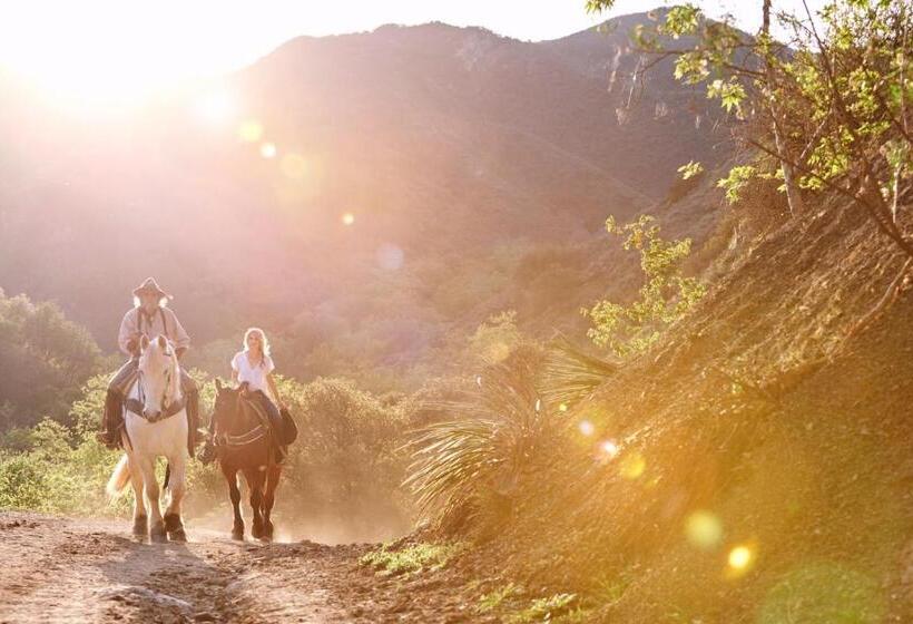 فندق Circle Bar B Guest Ranch