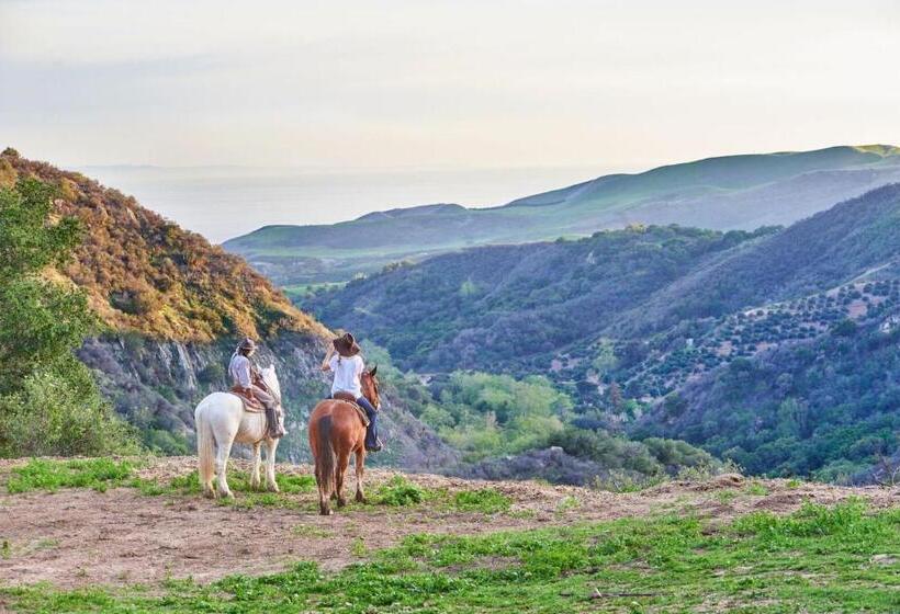 فندق Circle Bar B Guest Ranch