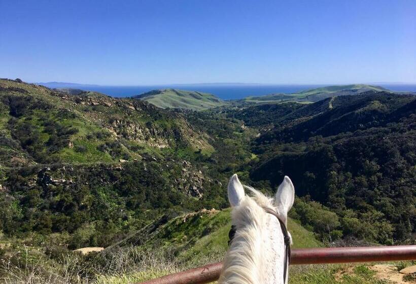 فندق Circle Bar B Guest Ranch