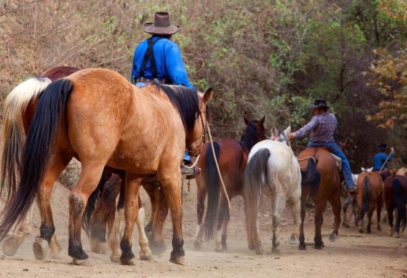 فندق Circle Bar B Guest Ranch