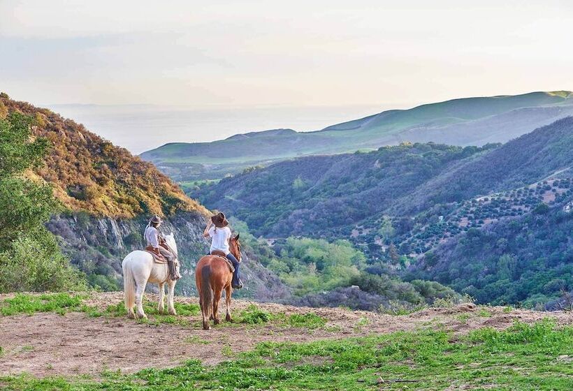 فندق Circle Bar B Guest Ranch