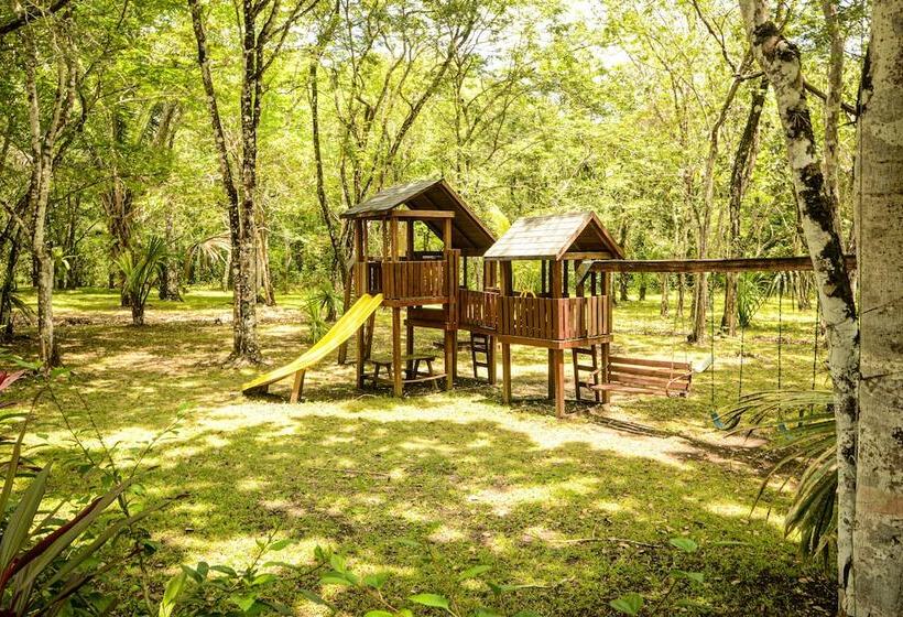 فندق Kikiwitz Resort