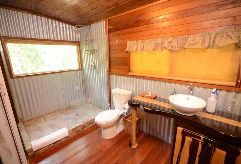 فندق Kikiwitz Resort