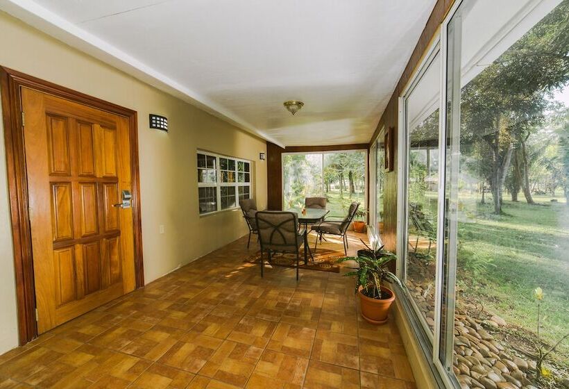 فندق Kikiwitz Resort