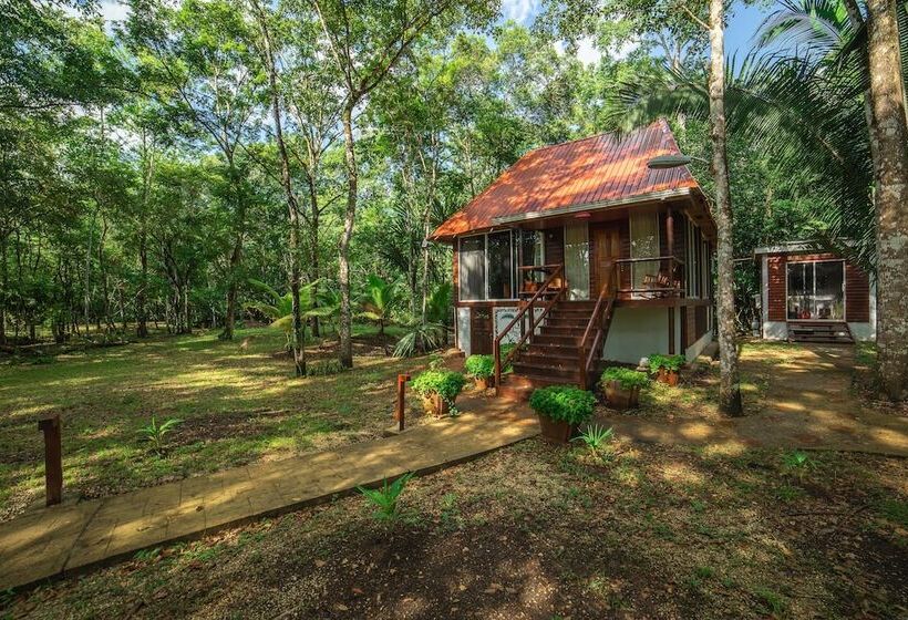 فندق Kikiwitz Resort