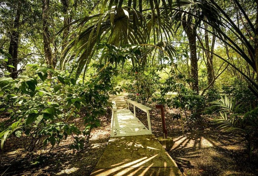 酒店 Kikiwitz Resort