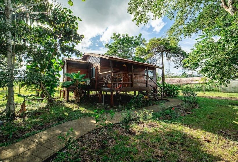 فندق Kikiwitz Resort