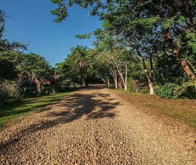 酒店 Kikiwitz Resort