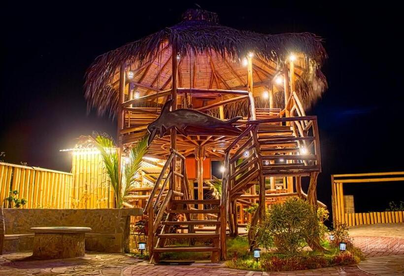 ホテル Maria Jose Bungalows