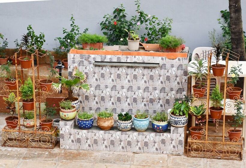 בית מלון כפרי Sea Princess Beach Resort