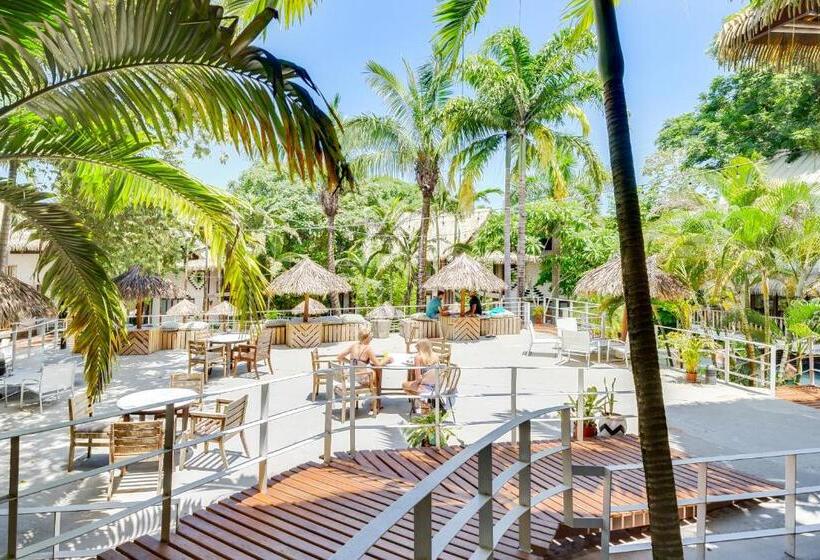 ホテル Selina Nosara