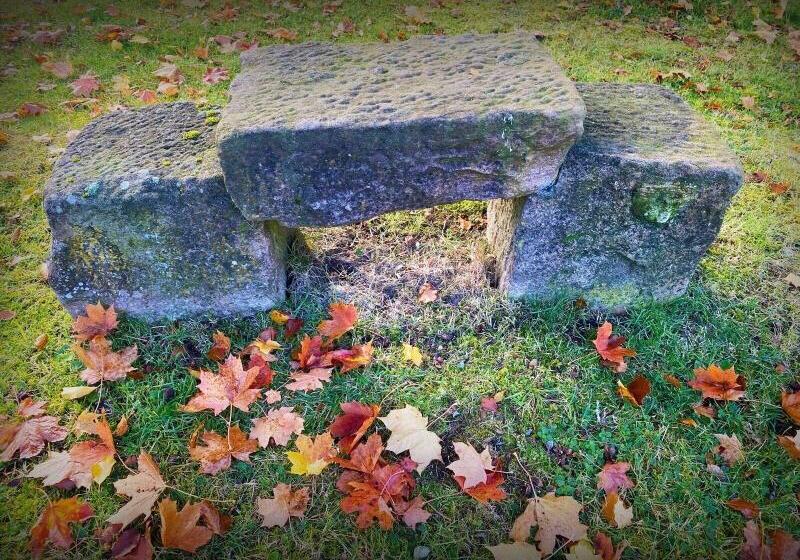 The Speyside Hotel And Restaurant