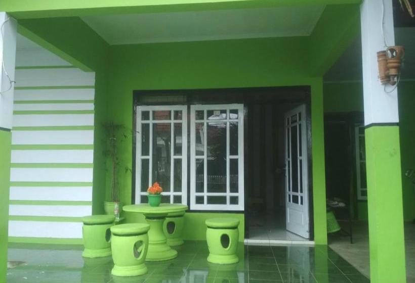 تختخواب و صبحانه Quinn Homestay