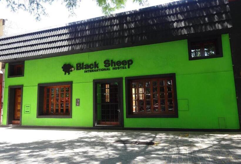 Black Sheep International Hostel